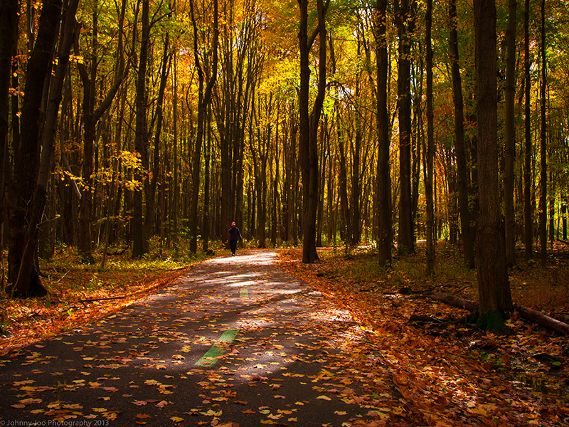Amazing Places for Autumn in Ohio