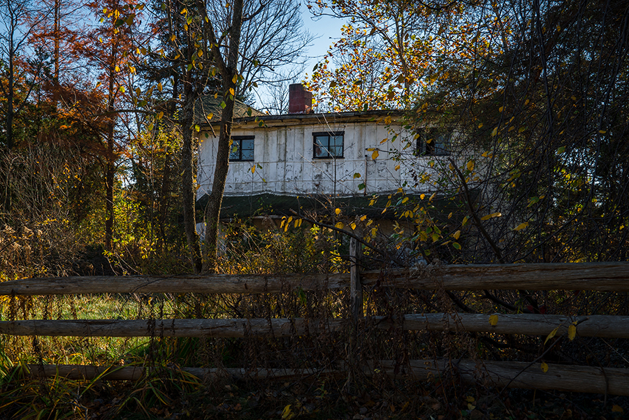 The Dog Bone Home