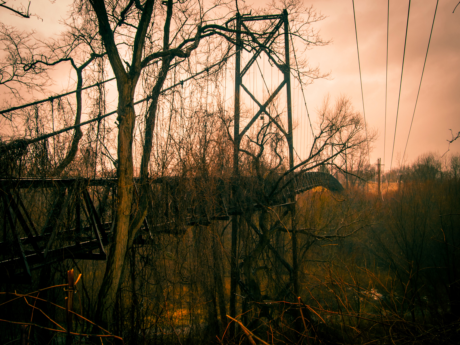 Sidaway Bridge, Hough Riots and the Cleveland Torso Murders
