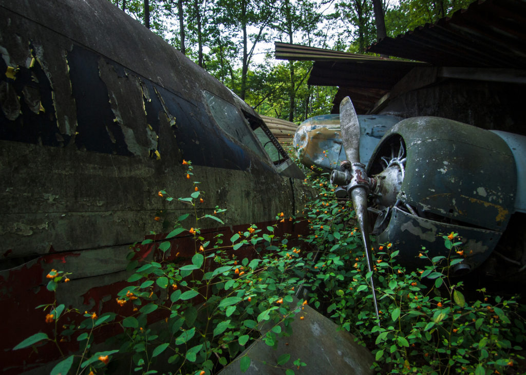 Soplata airplane sanctuary