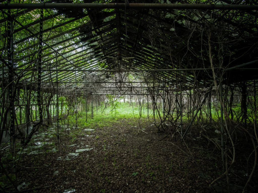 otto's abandoned greenhouse in ohio