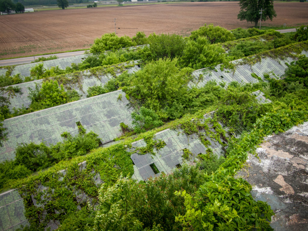 otto's abandoned greenhouse in ohio