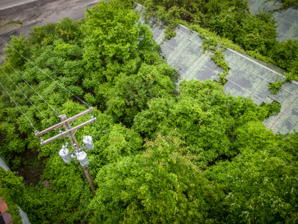 otto's abandoned greenhouse in ohio