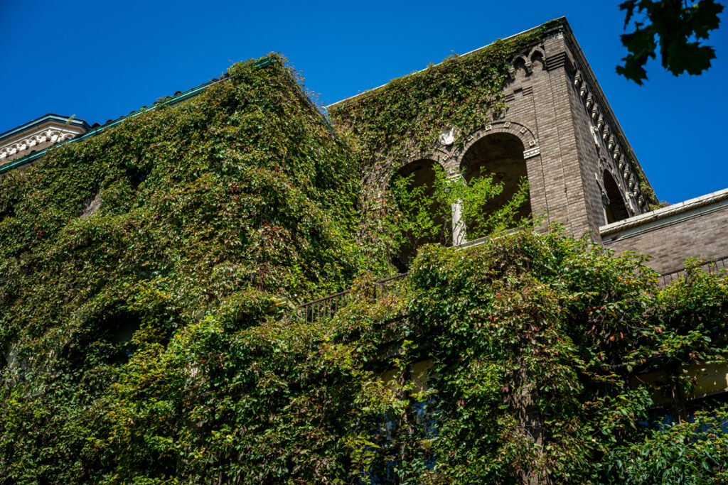 Molly Stark Hospital Abandoned
