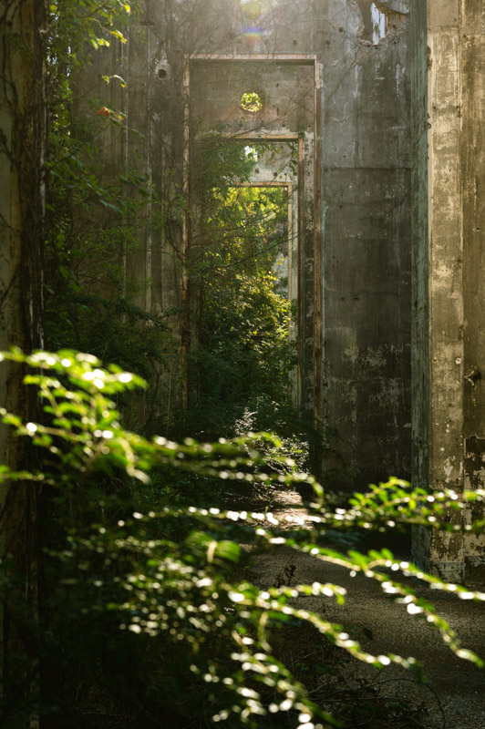 abandoned longhorn army ammunition plant