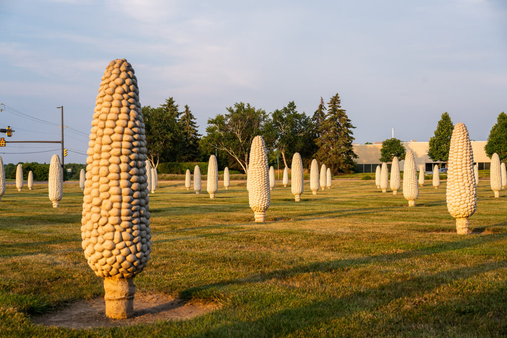 field of corn in ohio