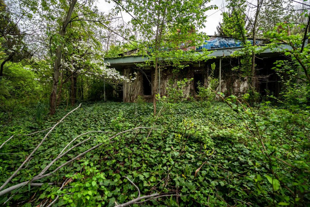 abandoned mid century home