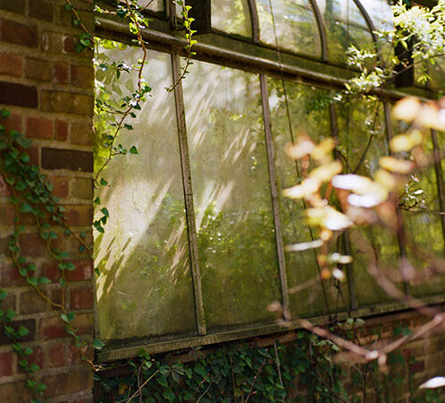 Greenhouse In Beachwood 000013720006