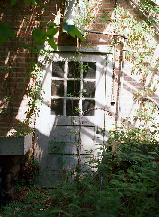 Sunlit, vine-covered door of a 1925 Legacy Village Carriage House, a federal landmark building.