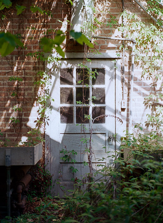 Weathered white door with nine glass panes overgrown by vines on a brick and light-colored wall at a historic carriage