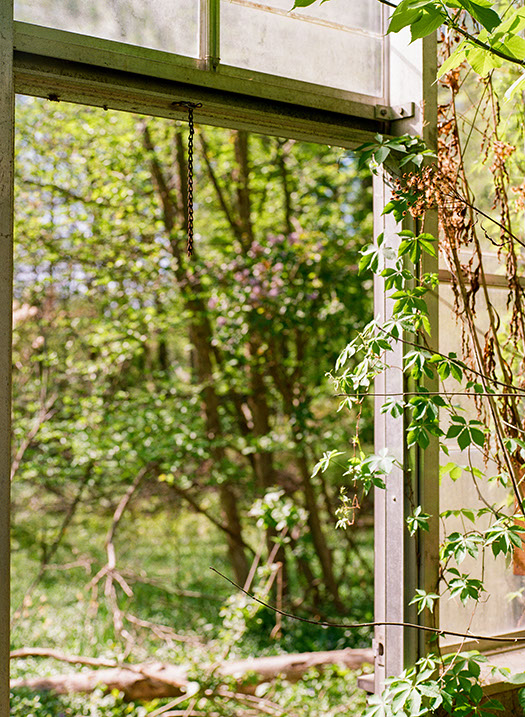 An aged window frame from the Legacy Village Carriage Houses, with a hanging chain and green vines, overlooks an