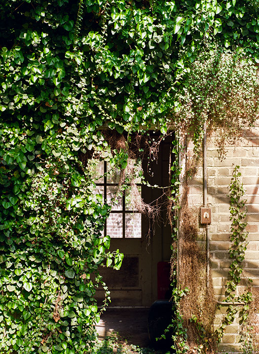 Sun-dappled green foliage cascades over a brick facade and open doorway at the 1925 Legacy Village Carriage Houses.